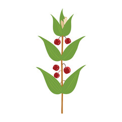 Vertical Red Berry Green Plant