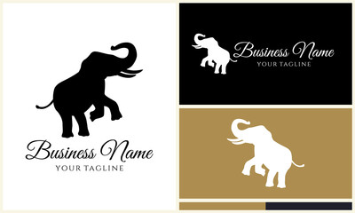 Elephant Logo Design Variations. (62)