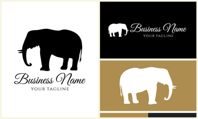 Elephant Logo Design Variations. (27)