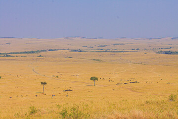 Vast, beautiful African savanna landscapes