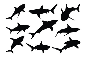 Shark silhouette collection, set of shark silhouette vector illustration
