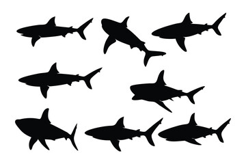Shark silhouette collection, set of shark silhouette vector illustration