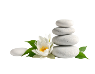 simplicity and calmness of Zen with this minimalist meditation concept. PNG file. for element