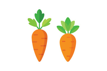 Fresh carrots with green leaves, isolated on white background, representing healthy eating and organic produce