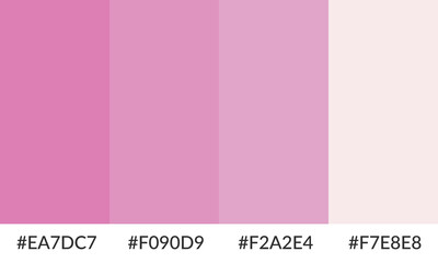Fototapeta premium Abstract color palette banner versatile collection of shade and swatch