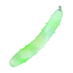 きゅうり　夏　野菜　イラスト　アイコン　イメージ　水彩画