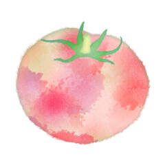 トマト　夏　野菜　イラスト　アイコン　イメージ　水彩画