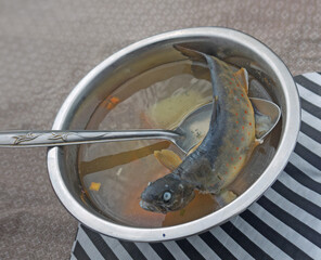 Ukha russian fish soup with whole Kirikuchi char in steel bowl