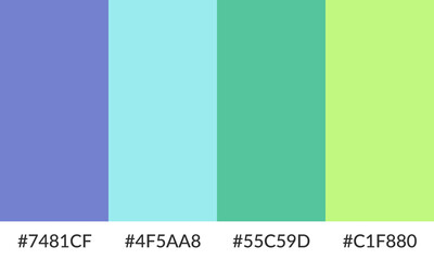 Abstract color palette banner versatile collection of shade and swatch