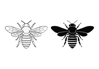 Obraz premium Vector art of two bees, one outline and one silhouette, isolated on white background
