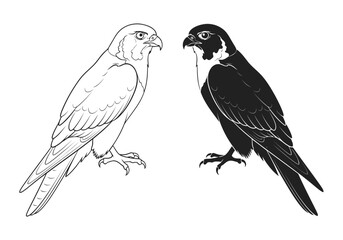 Obraz premium Vector art of two falcons, one outline and one black silhouette, isolated on white background