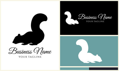 Squirrel Logo Design Variations. (7)