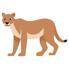 Wild Animal Illustration