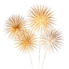 Fototapeta premium Fireworks bursting against a white background. Golden-toned explosions