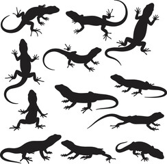 Lizard vector silhouette set, gecko reptile poses, black crawling lizard icons, wildlife animal illustrations, isolated reptile shapes, nature graphic symbol collection