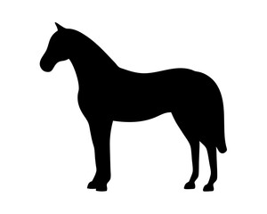 Horse silhouette standing in a neutral pose on a white background