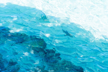 Fresh Summer Azure Ocean and Island Landscape Inspiring Vacation Travel