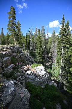 Uinta mountains 