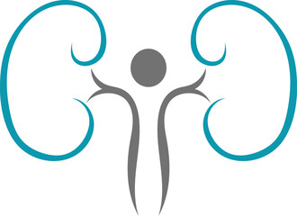 kidney logo vector