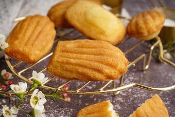 Composition with tasty madeleines on grey background
