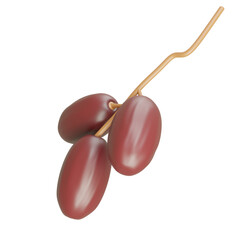 Pair of dates on a palm branch with size contrast, emphasizing ripeness and natural variety in tropical healthy fruit produce.

