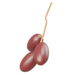 Three brown dates lined up on a short palm stem, symbolizing tropical harvest, natural nutrition, and traditional healthy fruit snacks.

