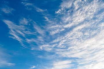 Bright Sunny Blue Sky Filled With Fluffy White Clouds Over Horizon