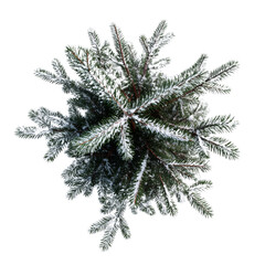 Christmas tree top view isolated on white or transparent background