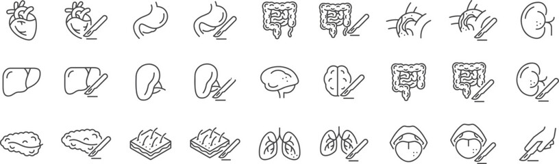 Healthy Food Icons, Nutrition Symbols Pack, Fruit and Vegetable Clipart, Diet Icons Set, Natural Food Graphics, Wellness Meal Symbols, Vegan Diet Icons, Organic Nutrition Vectors, Health Food Badge Ic