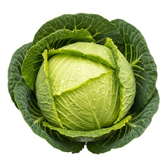 Fototapeta premium Fresh Green Cabbage Head Close-Up – Healthy Raw Vegetable Isolated on White or Transparent Background