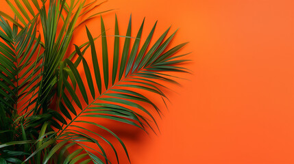 Obraz premium Um ramo exuberante de palmeira exibe suas folhas verdes contra um fundo laranja vivo, criando um contraste impressionante