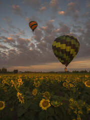 hot air balloon in flight