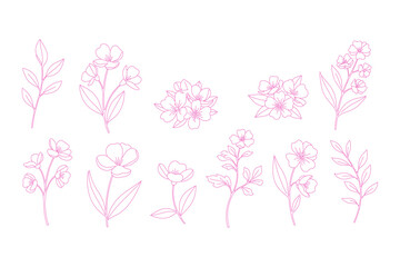 Floral Line Art Elements Collection illustration