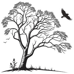 Silhouette of a large bare tree with a soaring eagle and two small birds in flight