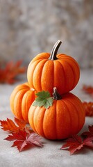 Two bright orange pumpkins stacked one on top of another. An autumn harvest decoration for Thanksgiving or Halloween.