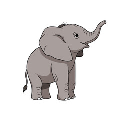 Fototapeta premium A playful young elephant raises its trunk in greeting on a white background