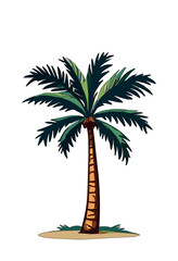 palm tree on a white background