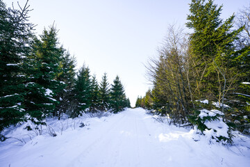 Winter landscape at Langenberg in the Sauerland. Nature with hiking trails in the Rothaargebirge near Willingen.
