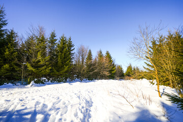 Winter landscape at Langenberg in the Sauerland. Nature with hiking trails in the Rothaargebirge near Willingen.
