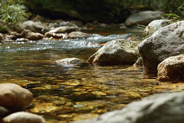 Flowing Stream with Rocks Serene Nature Scene Clear Water Environment Close-Up View