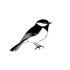 Detailed Songbird Perched on Twig in Clean Line Art Style