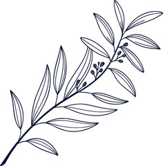 Minimalist Line Drawing of a Sprig of Leaves Botanical Illustration Design