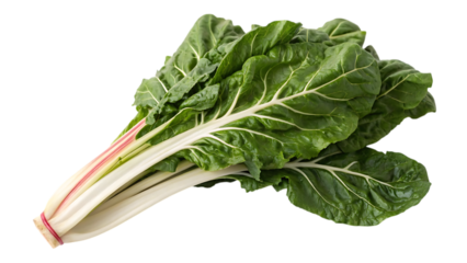 Fresh bunch of swiss chard isolated on transparent background