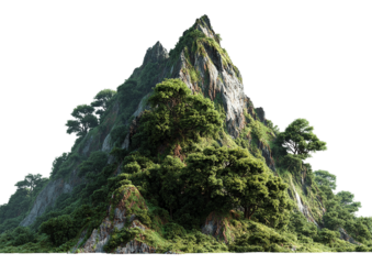 Summer mountain landscape with green trees, high peaks isolated on a transparent background