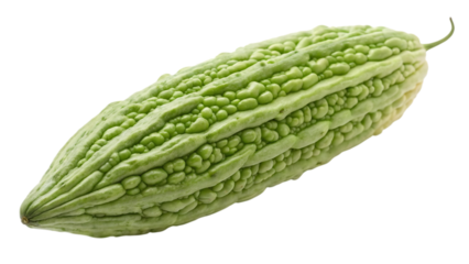 Fresh green bitter melon vegetable isolated on transparent background