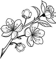 Two Stylized Line Drawing Flowers Botanical Illustration