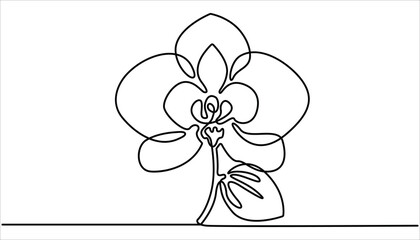 Phalaenopsis Orchid Flowers Continuous Line Drawing with Editable Stroke, Beautiful orchids line art pattern. Hand drawn orchid flowers.  Minimalist art, Exotic flowers drawing on simple background.

