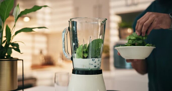 Hands, leaves and spinach with blender in kitchen, container and ingredients for liquid diet at home. Person, mint and milk for wellness, nutrition and detox for gut health benefits at apartment