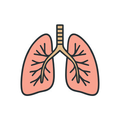 Illustration of human lungs with trachea and bronchi in a simple medical style