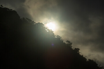 夏の奄美大島の空。